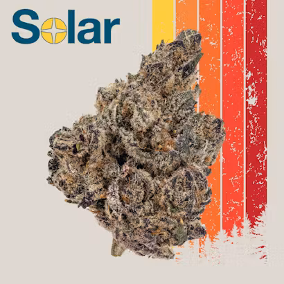 Photograph of product: Solar | Cherrylicious | 3.5g