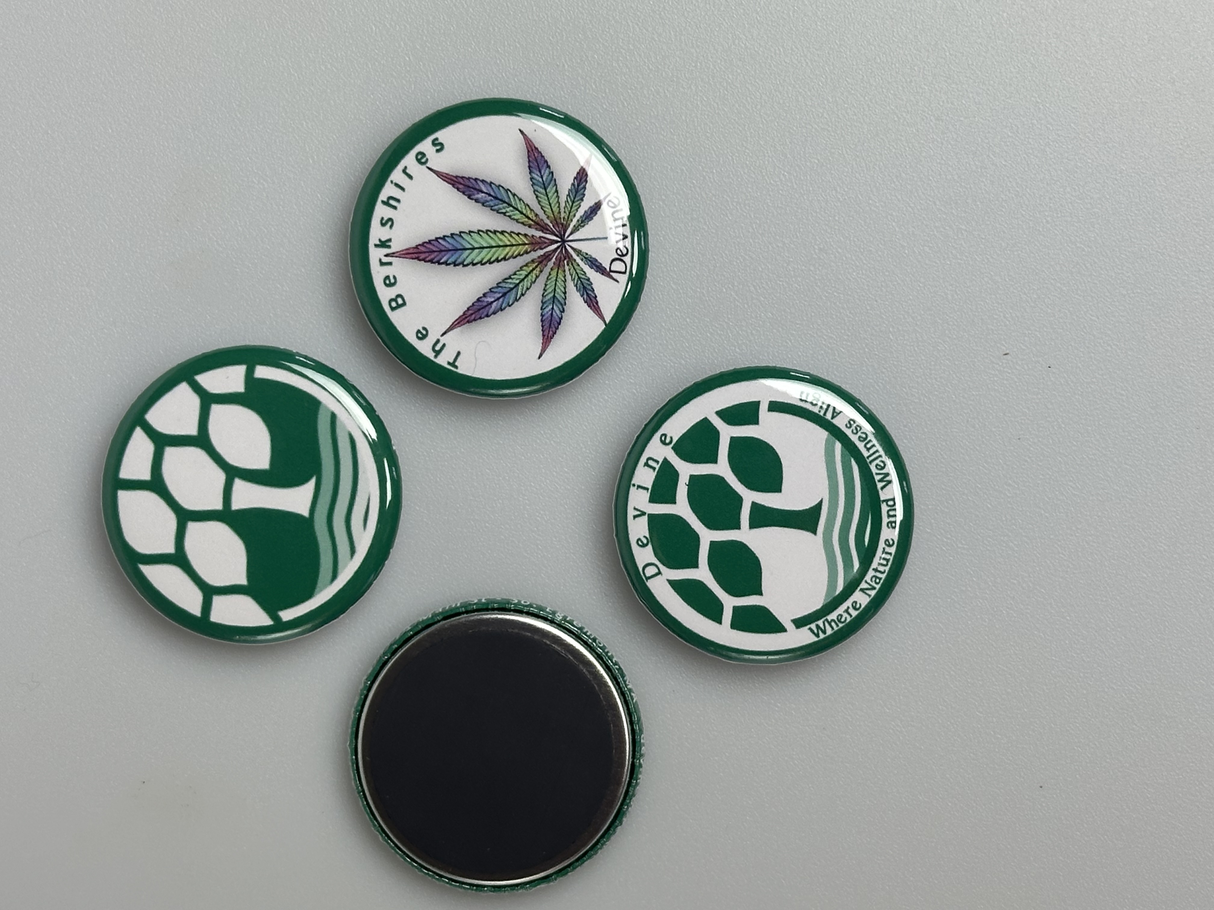 Photograph of product: Devine Button Magnets