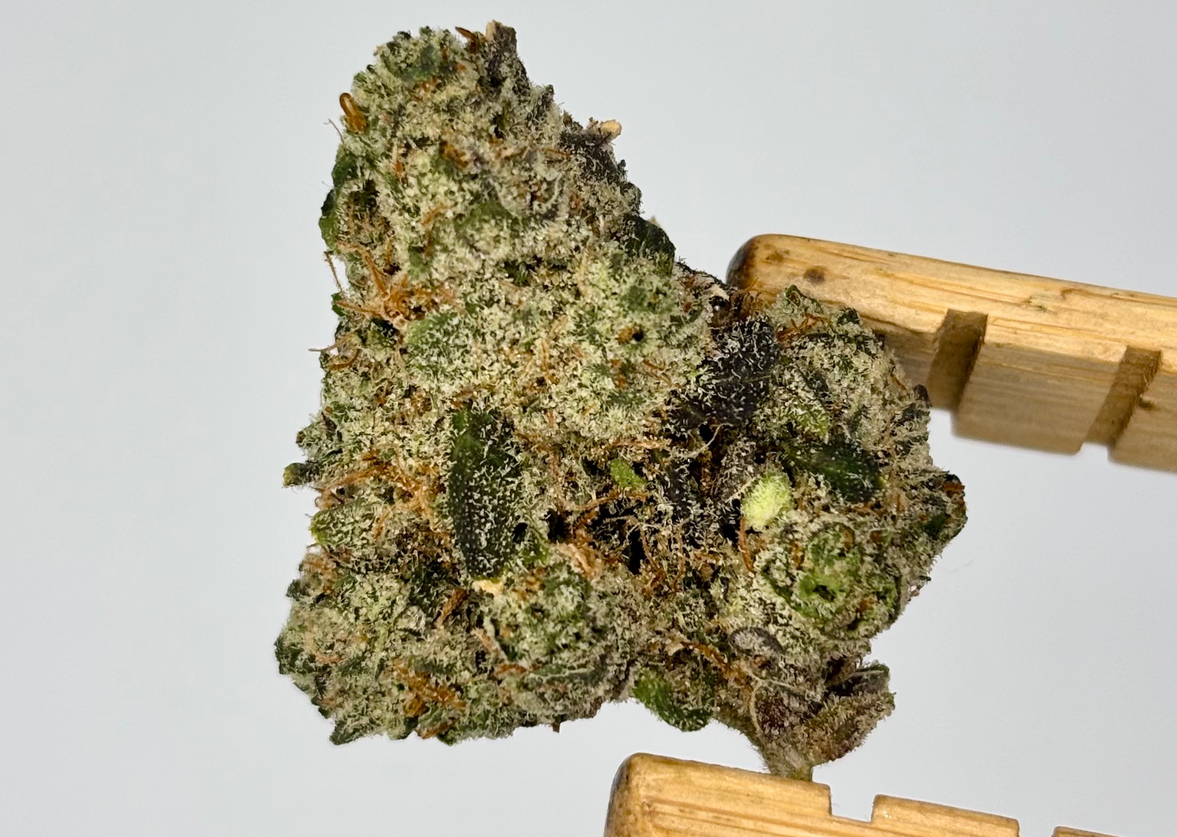 Photograph of product: Classic Roots | GMO'z | Bulk Flower | Purple Tier - 28g