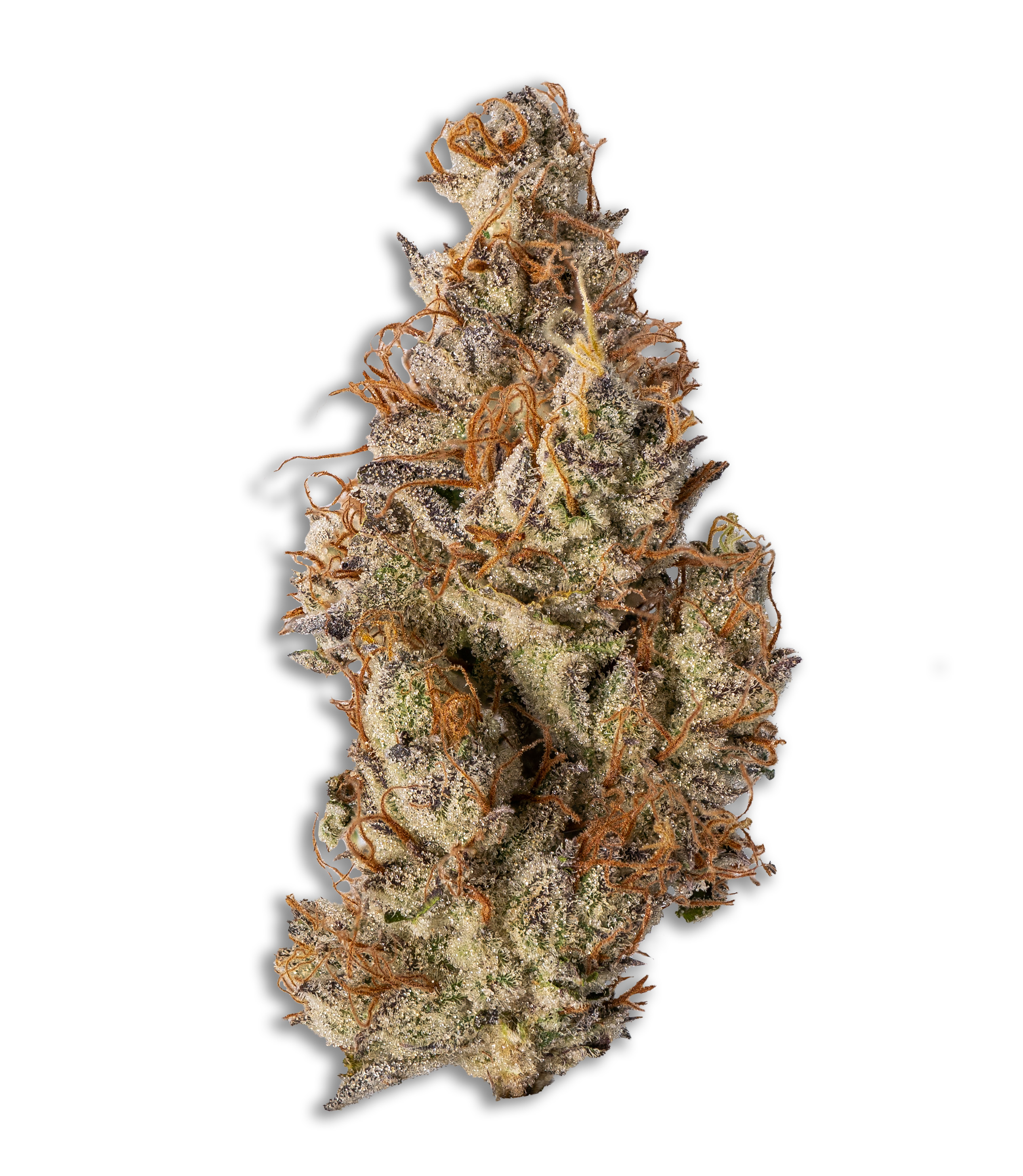 Photograph of product: Donny Burger - 3.5g