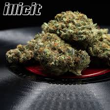 Photograph of Product: Illicit: Flower | Catalina Wine Mixer | 3.5g