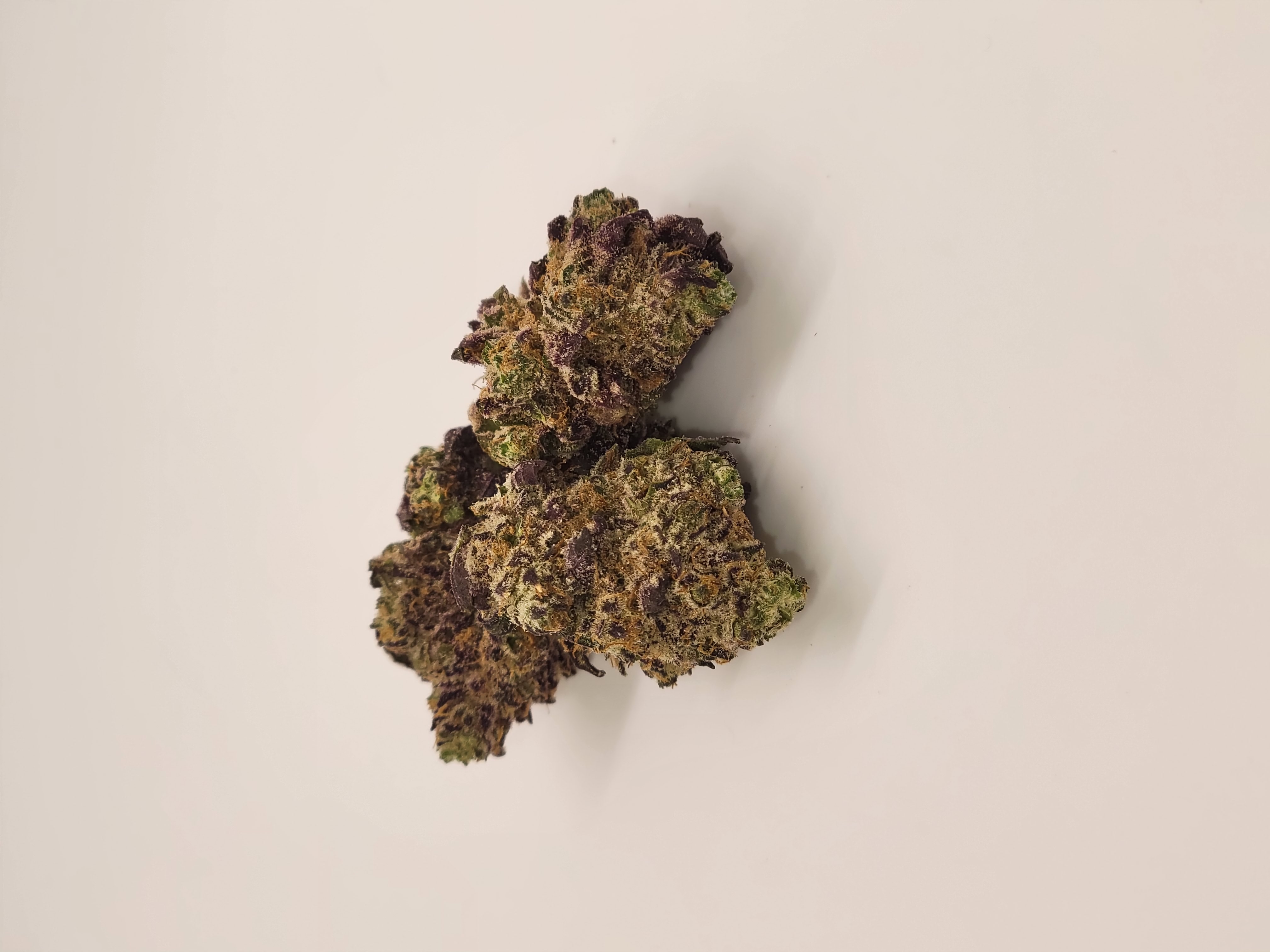 Photograph of product: 20% OFF RASPBERRY PARFAIT OUNCE