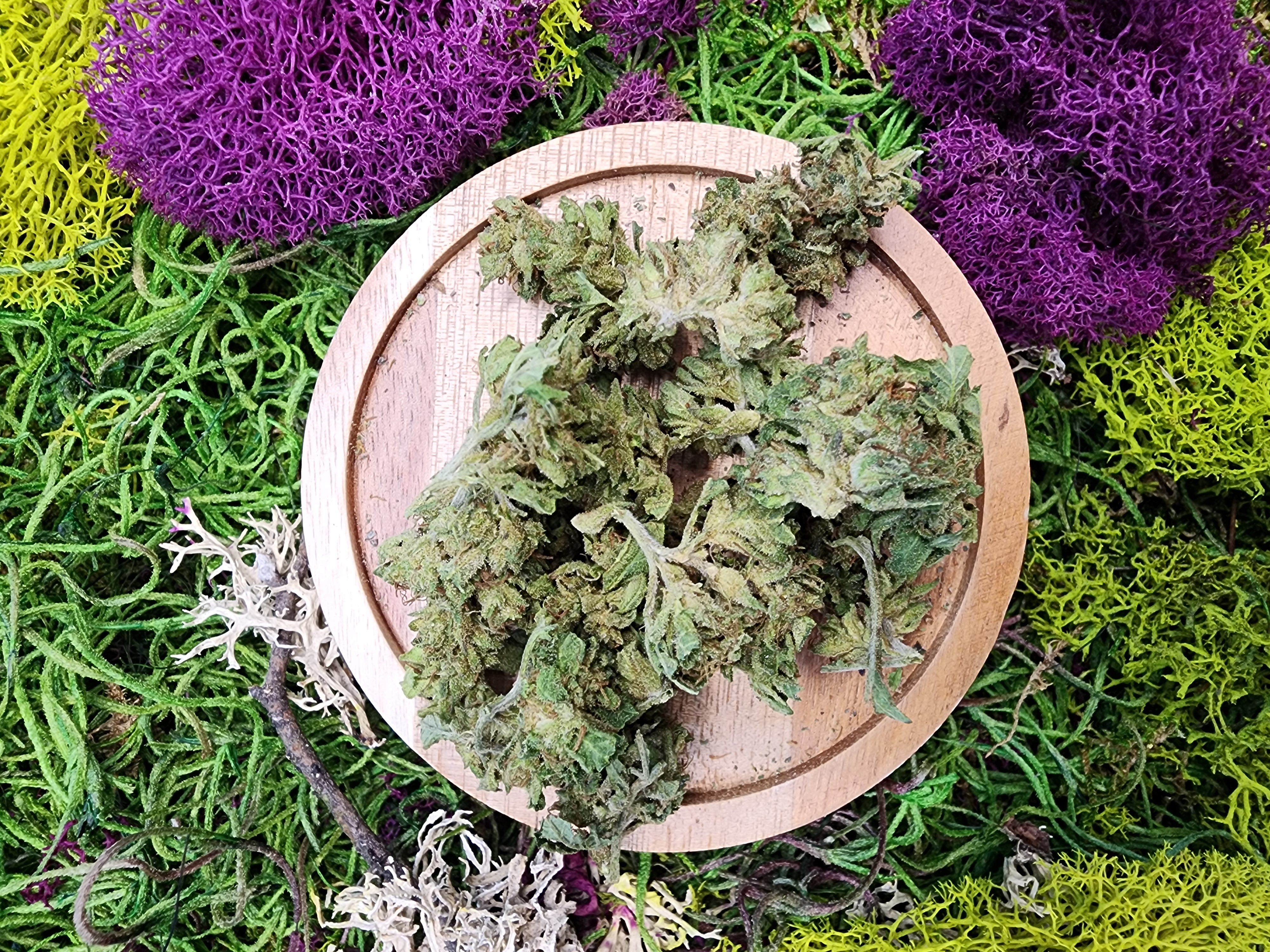 Photograph of product: 28G BIGFOOT GLUE OZ SPECIAL