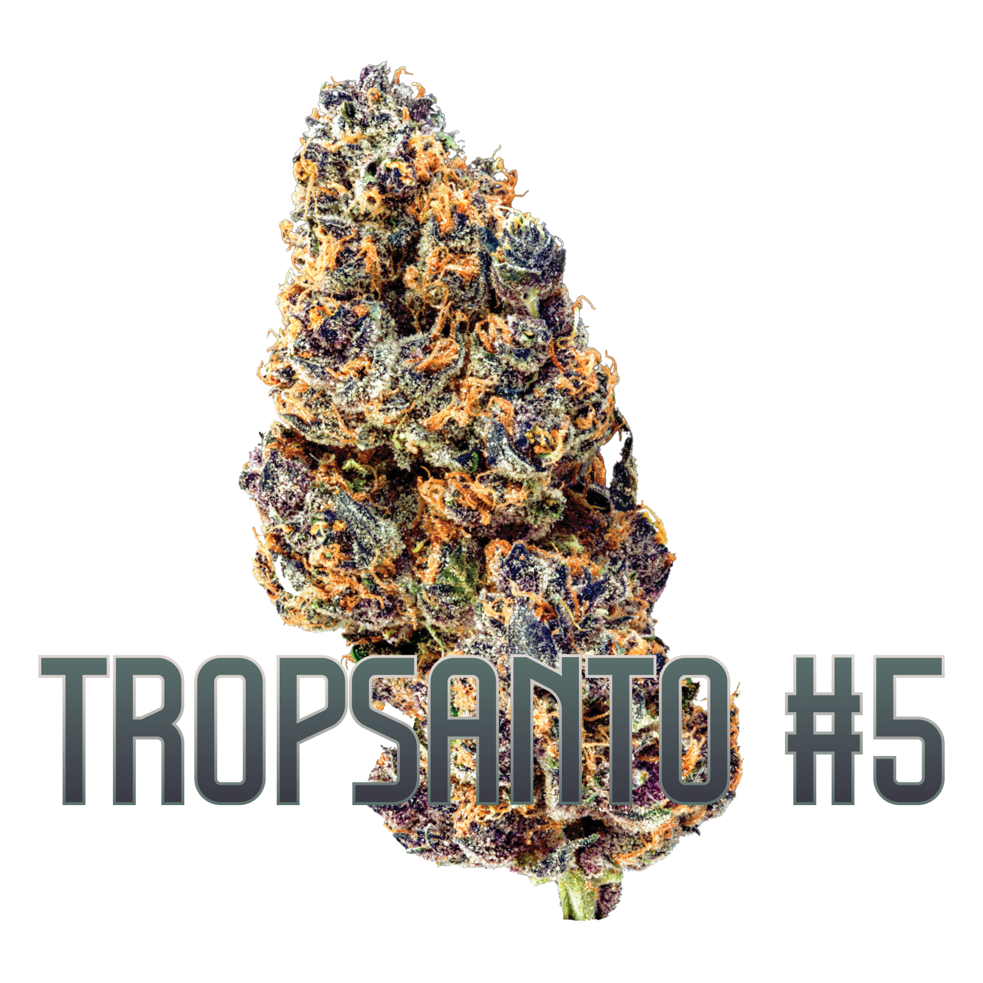 Photograph of product: Tropsanto #5 - 3.5g