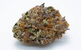 Photograph of product: Exc. | Jealousy | 1G Full Flower Pre-Roll