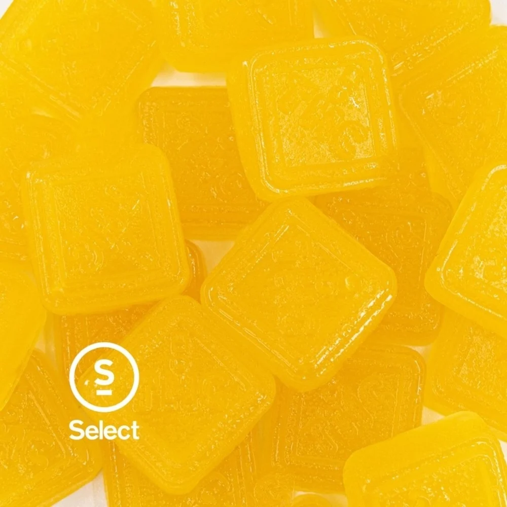 Photograph of product: X Bites Orange Matter | 100mg