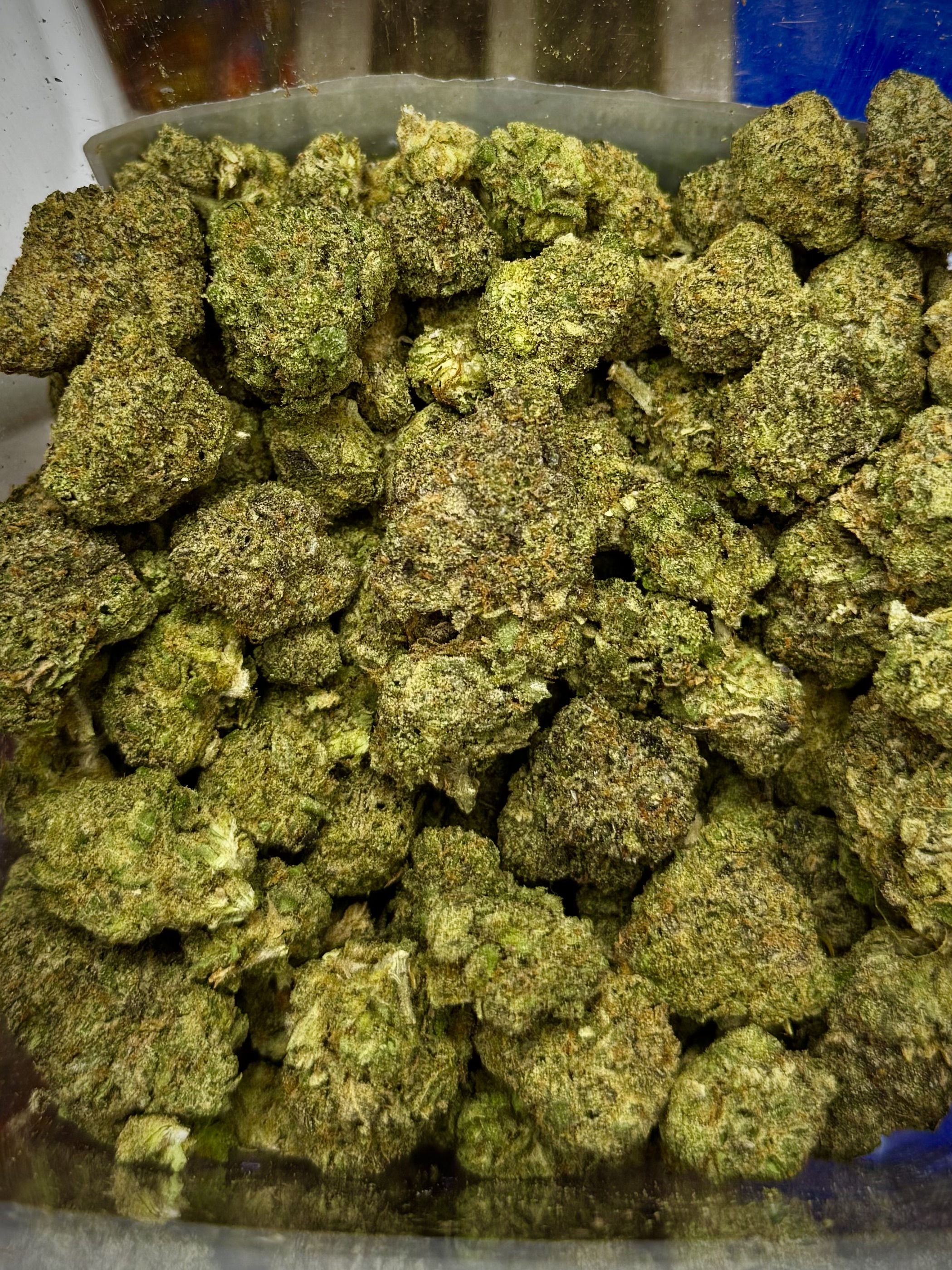 Photograph of product: Lemon Cherry Gelato - Calyx Crafts - 28g
