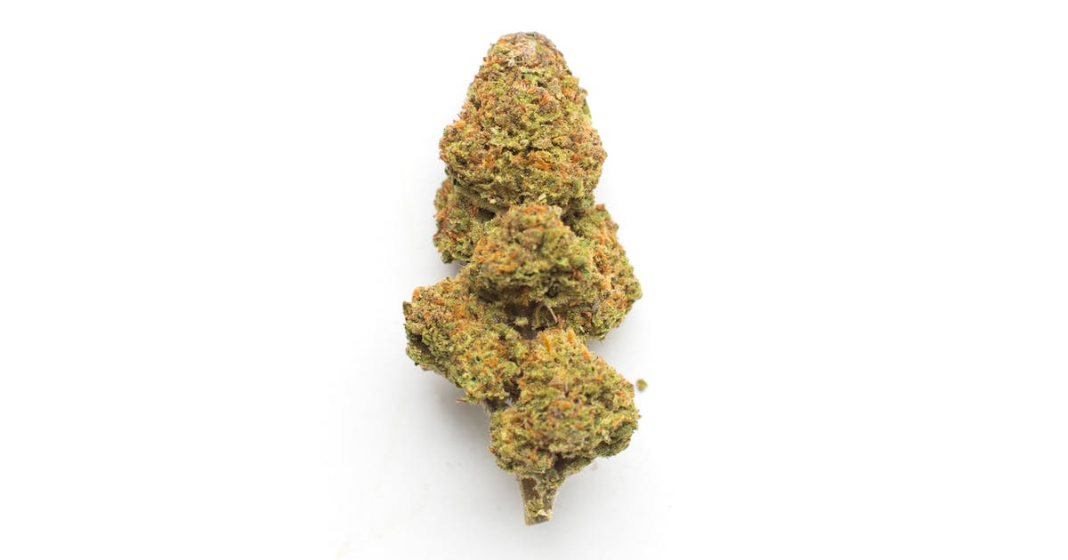 Photograph of product: Codes Lemon Cookie OG Flower (3.5g)