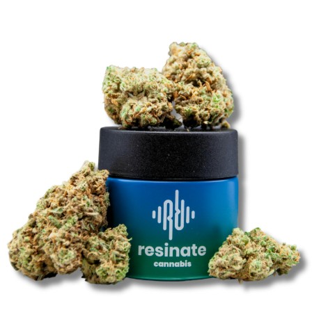 Photograph of product: Resinate Jigglers (I) Flower 3.5g