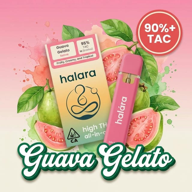 Photograph of product: Guava Gelato - AIO