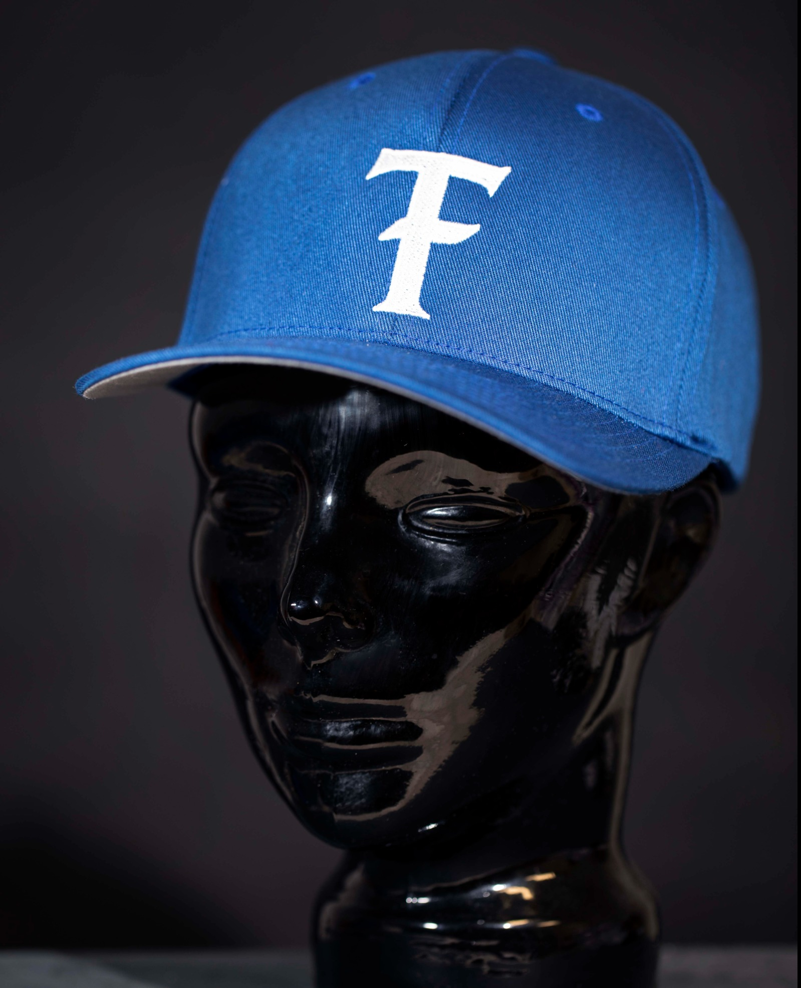 Photograph of product: TF Dice Hat