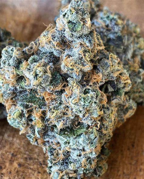 Photograph of product: Platinum Shelf-Purple Garlic (I) - 28g