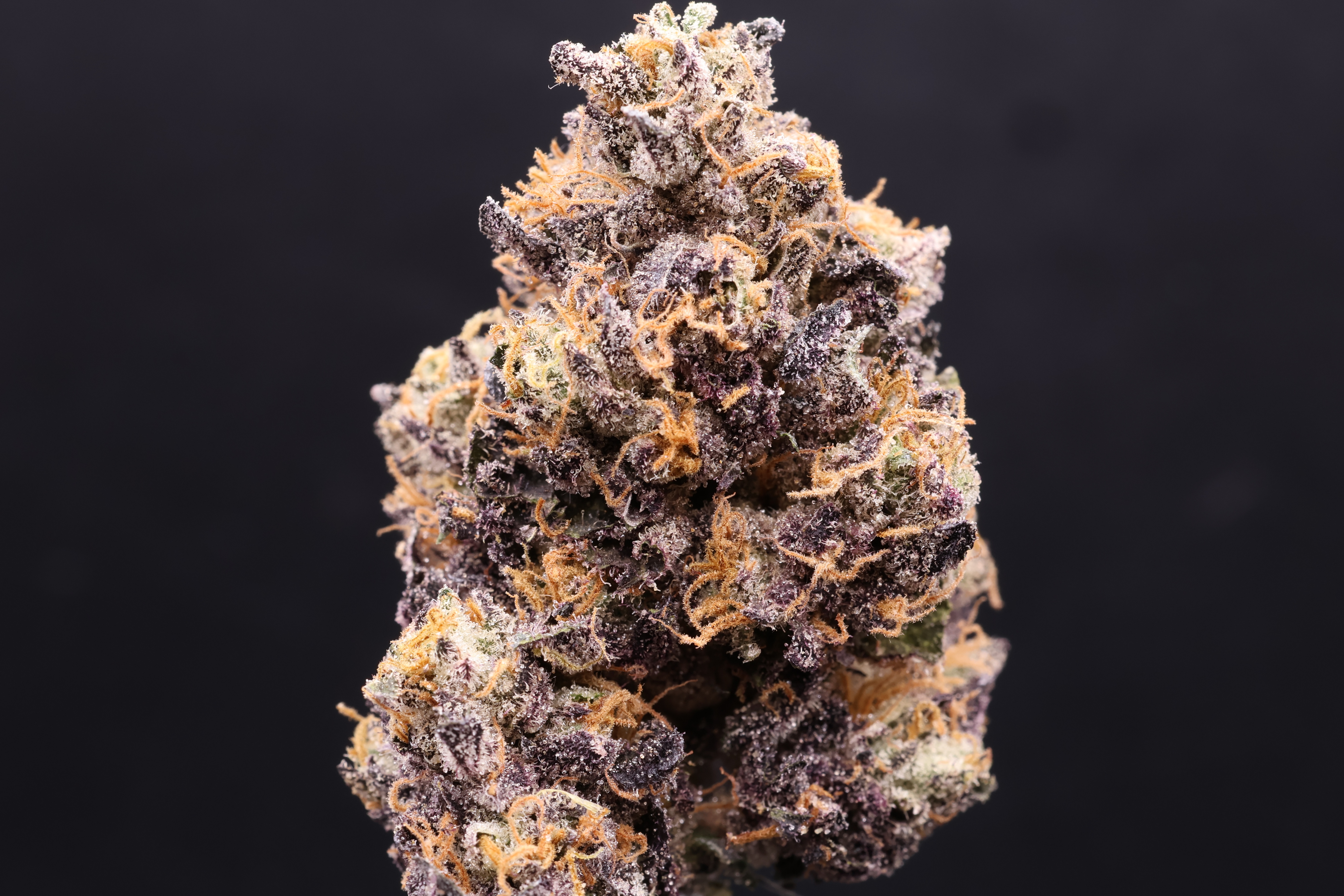 Photograph of product: Sherbanger #22 (Brave Heart) - 14g