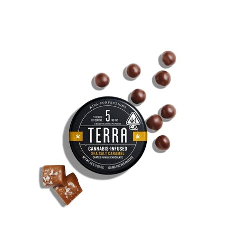 Photograph of product: Sea Salt Caramel Milk Chocolate Coated -100mg - Terra Bites - Retail