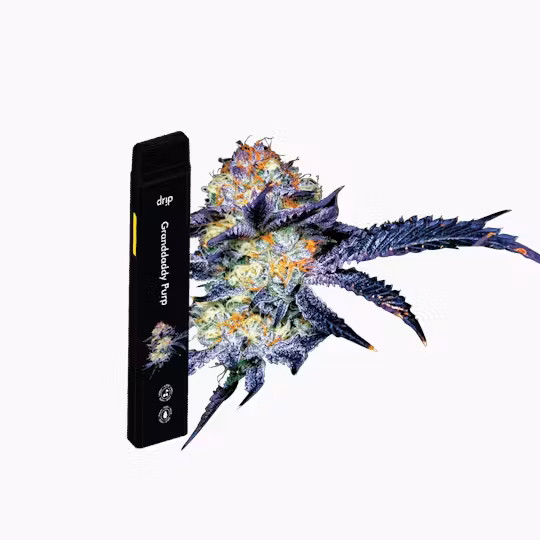 Photograph of product: Drip - Granddaddy Purp - Disposable