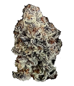 Photograph of product: Cinderella Cream Pre-Roll | 1g