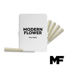 Photograph of product: MODERN FLOWER Rae Bae 5pk