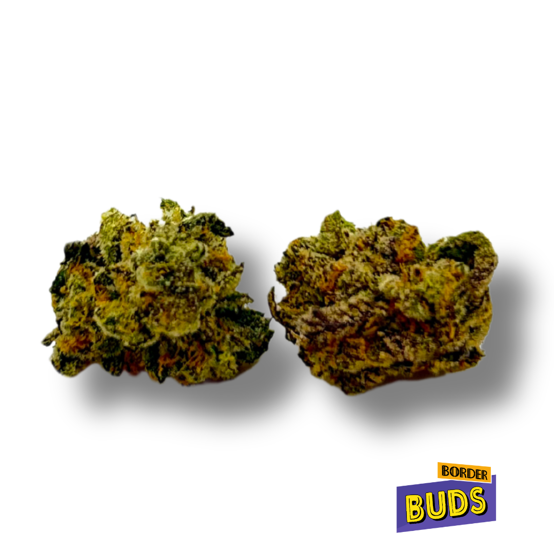 Photograph of product: Blue Sherbet | Zenith | Deli-Flower - 28g
