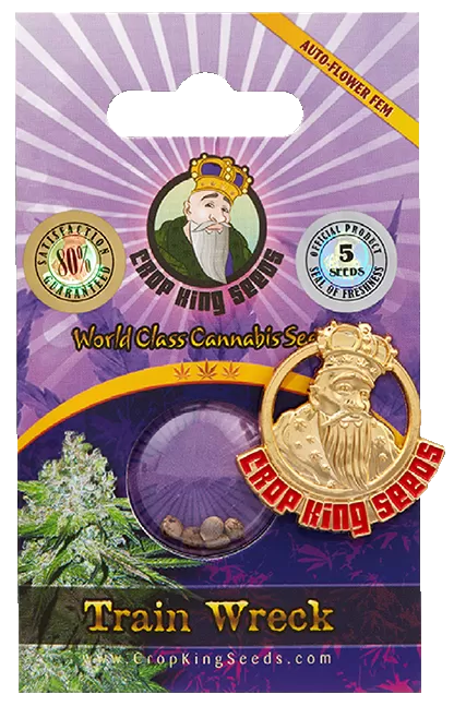 Photograph of product: Train Wreck Seed (Fem- Autoflower)