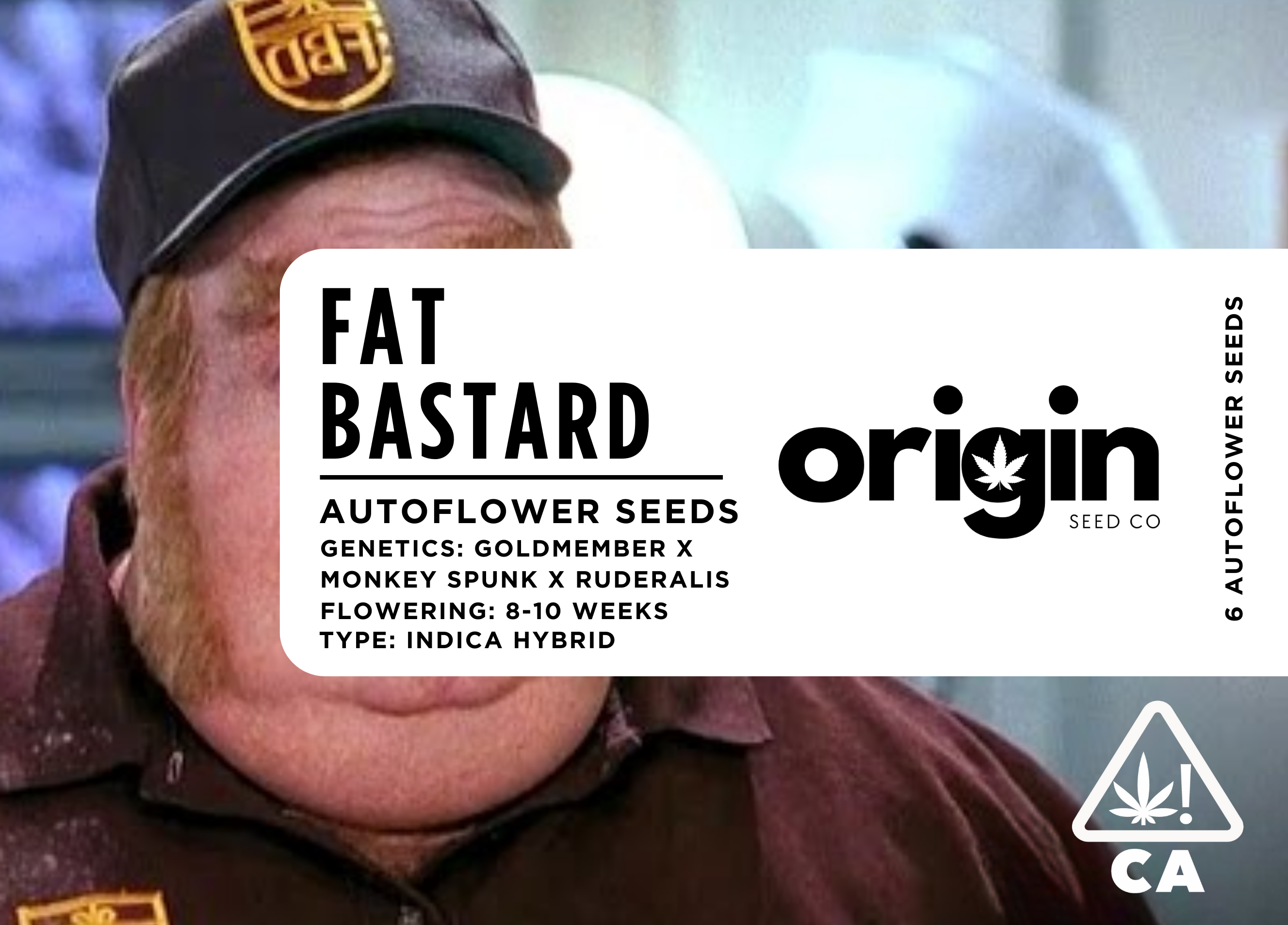 Photograph of product: Autoflower 6pk - Fat Bastard