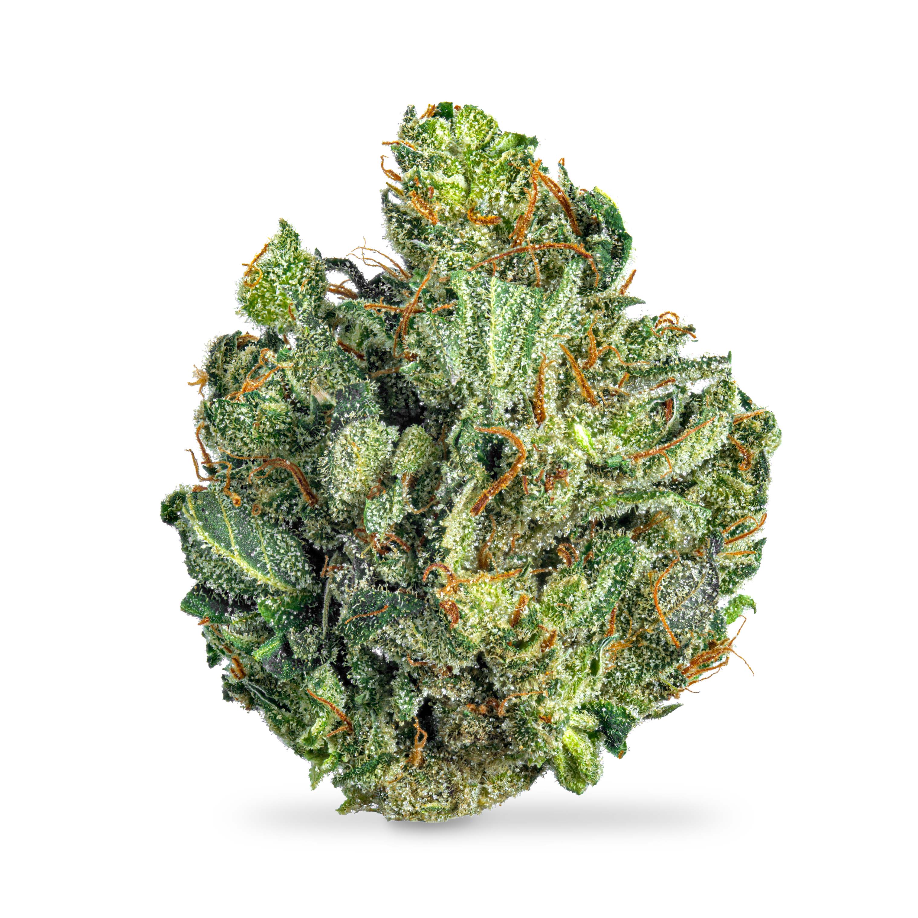Photograph of product: Cannalope Haze - 3.5g