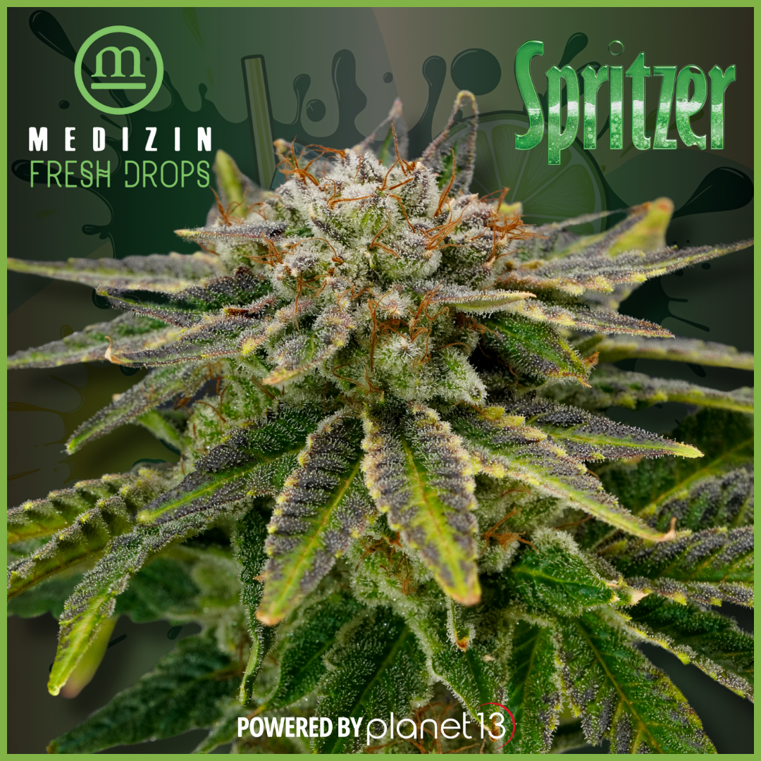 Photograph of product: Medizin Spritzer 7g Prepack