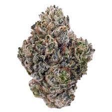 Photograph of product: Flower | Godzilla Glue | Nura - 2g