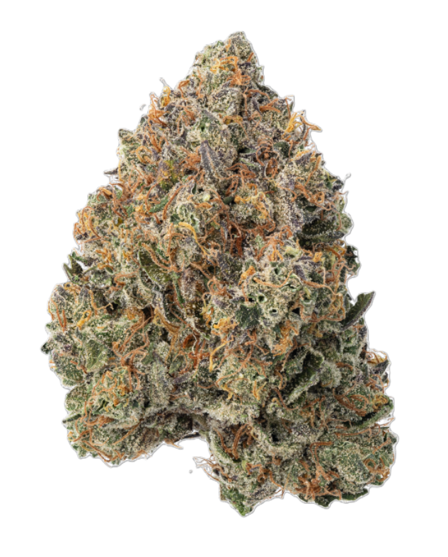 Photograph of product: Super Silver Haze x Gelato 1 - 3.54g
