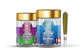 Photograph of product: PIFF STIX | LIL PIFF | INFUSED PRE-ROLL 5-PACK | RAINBOW ZANGRIA