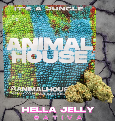 Photograph of product: Animal House | Hella Jelly Mixed | Light Flower - 3.5g