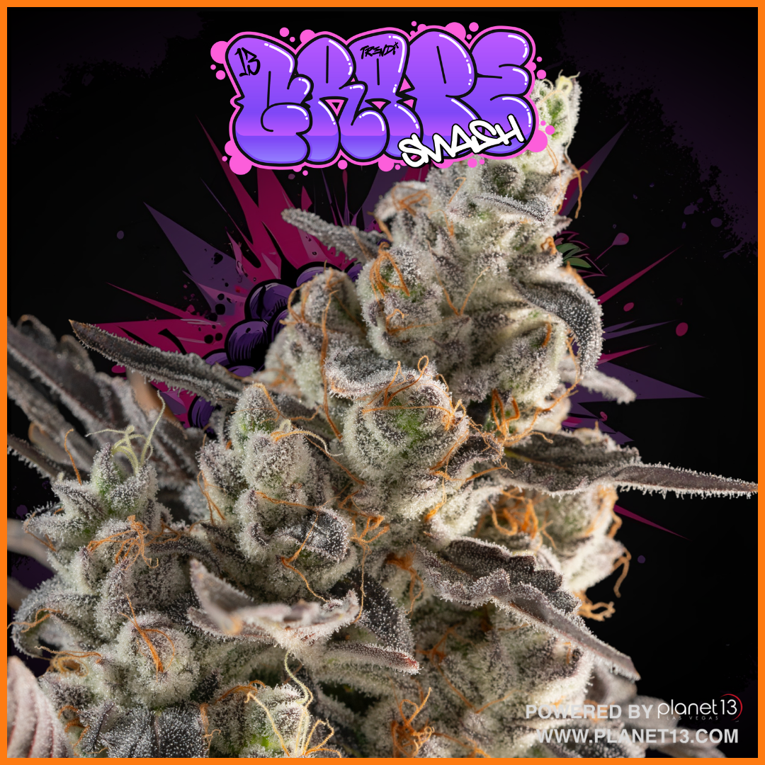 Photograph of product: Trendi IF Grape Smash 3.5g Prepack