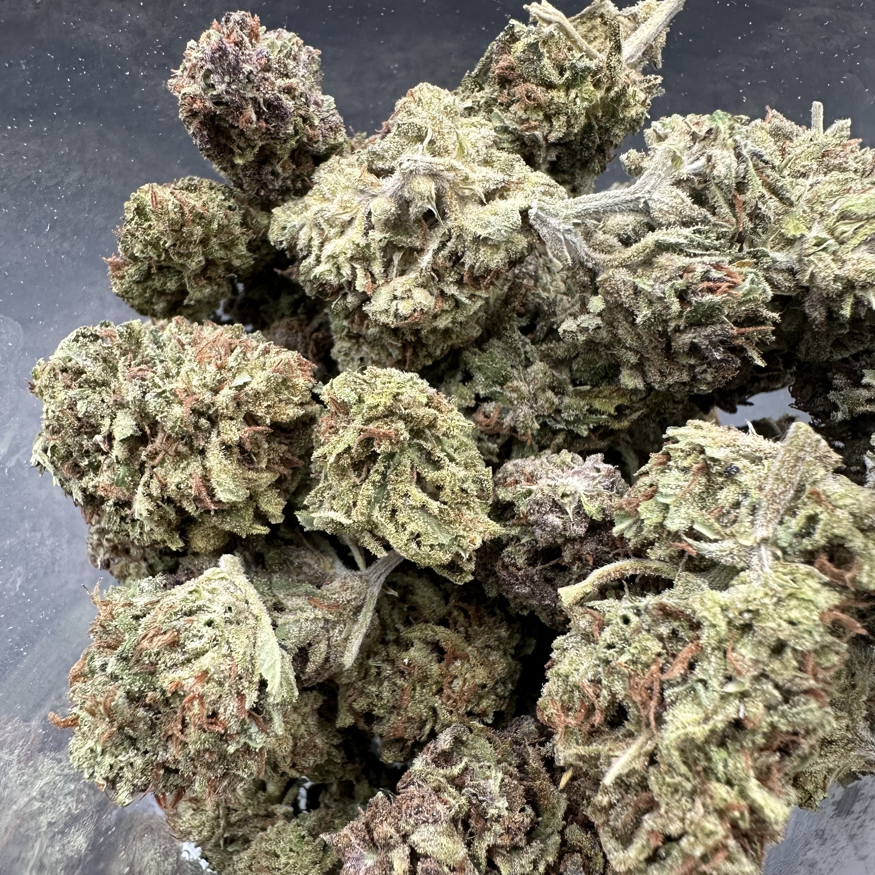 Photograph of product: $50 GMP Flower - Sweet Pink Bubble Gum (Outdoor) - 28g