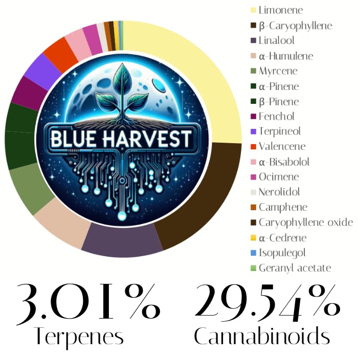 Photograph of product: Dark Rainbow by Blue Harvest | Pre-Rolls | 1.0g
