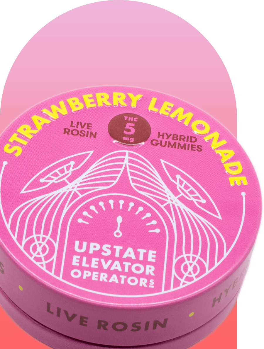 Photograph of product: Strawberry Lemonade au chocolat Rosin Gummies (50mg)