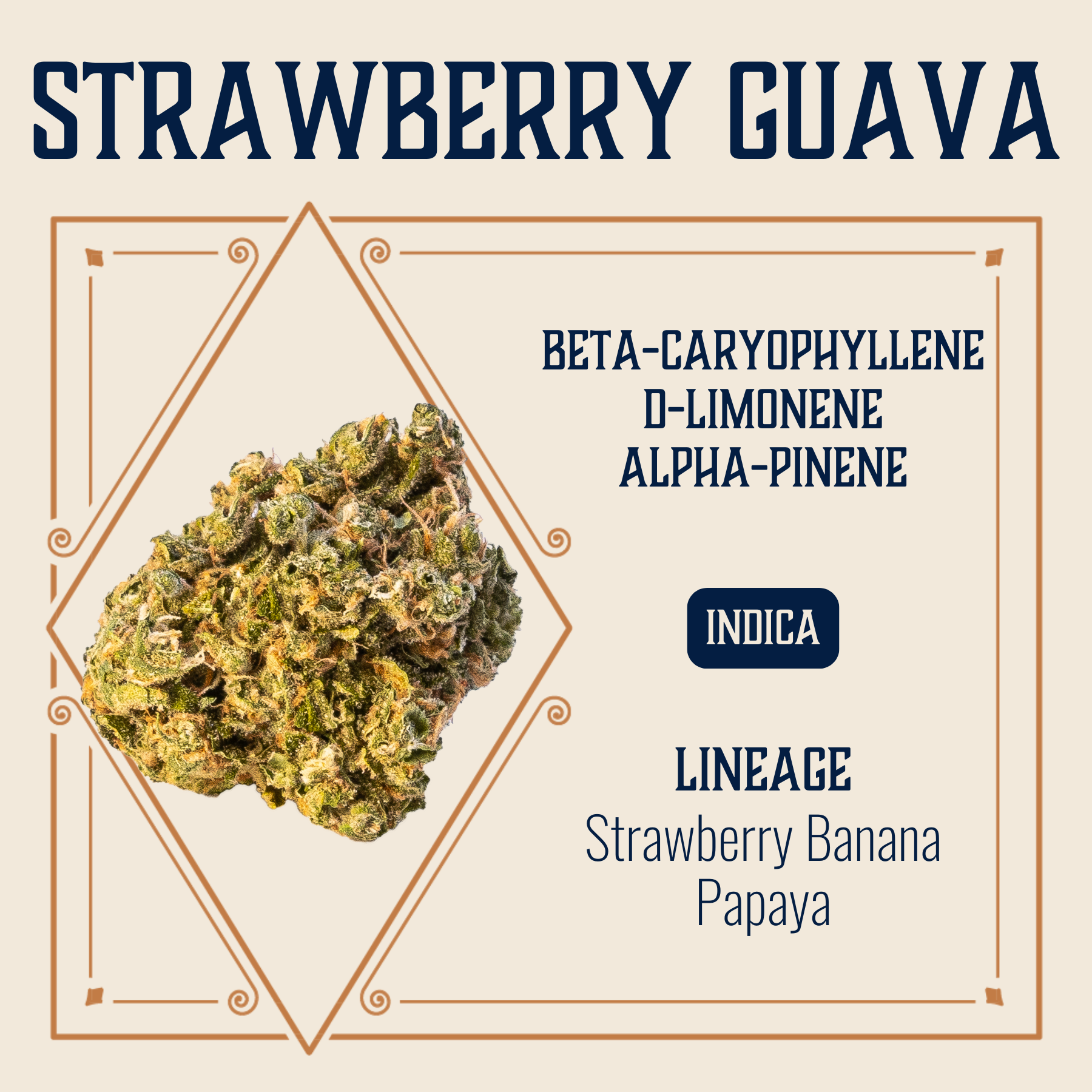 Photograph of product: Elevate: Flower | Strawberry Guava | 3.5g