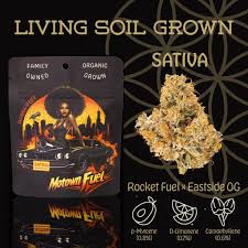 Photograph of product: Flower Of Life - Pre-Roll - Motown Fuel