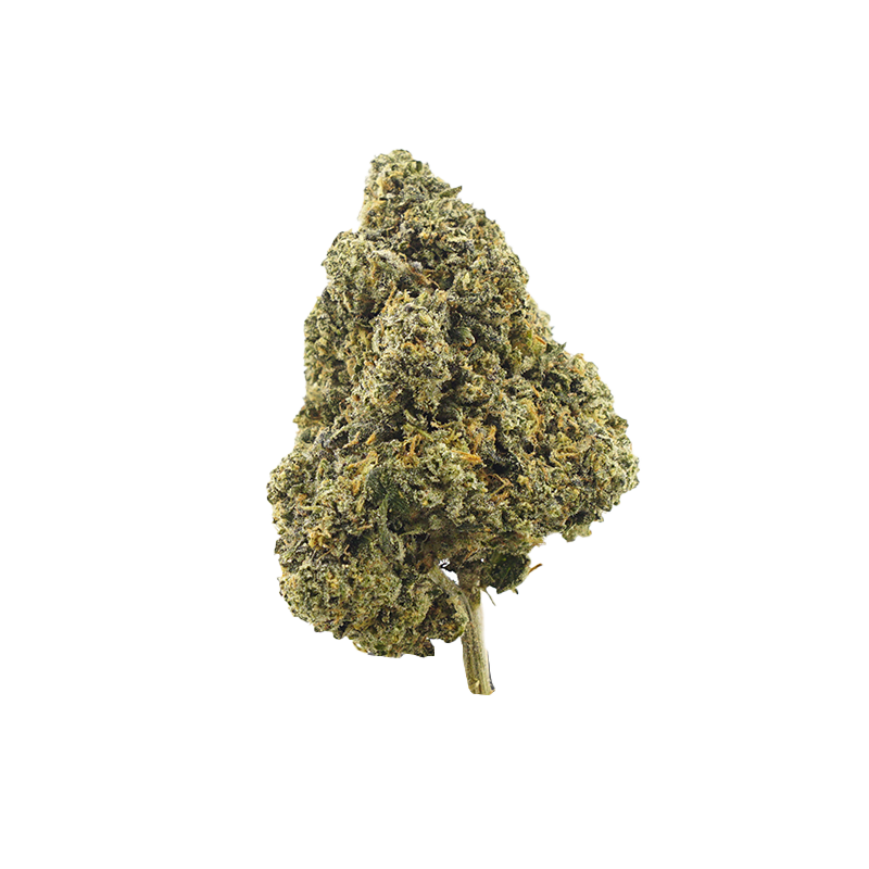 Photograph of product: Pruf Cultivar Gelato 33 - 14g