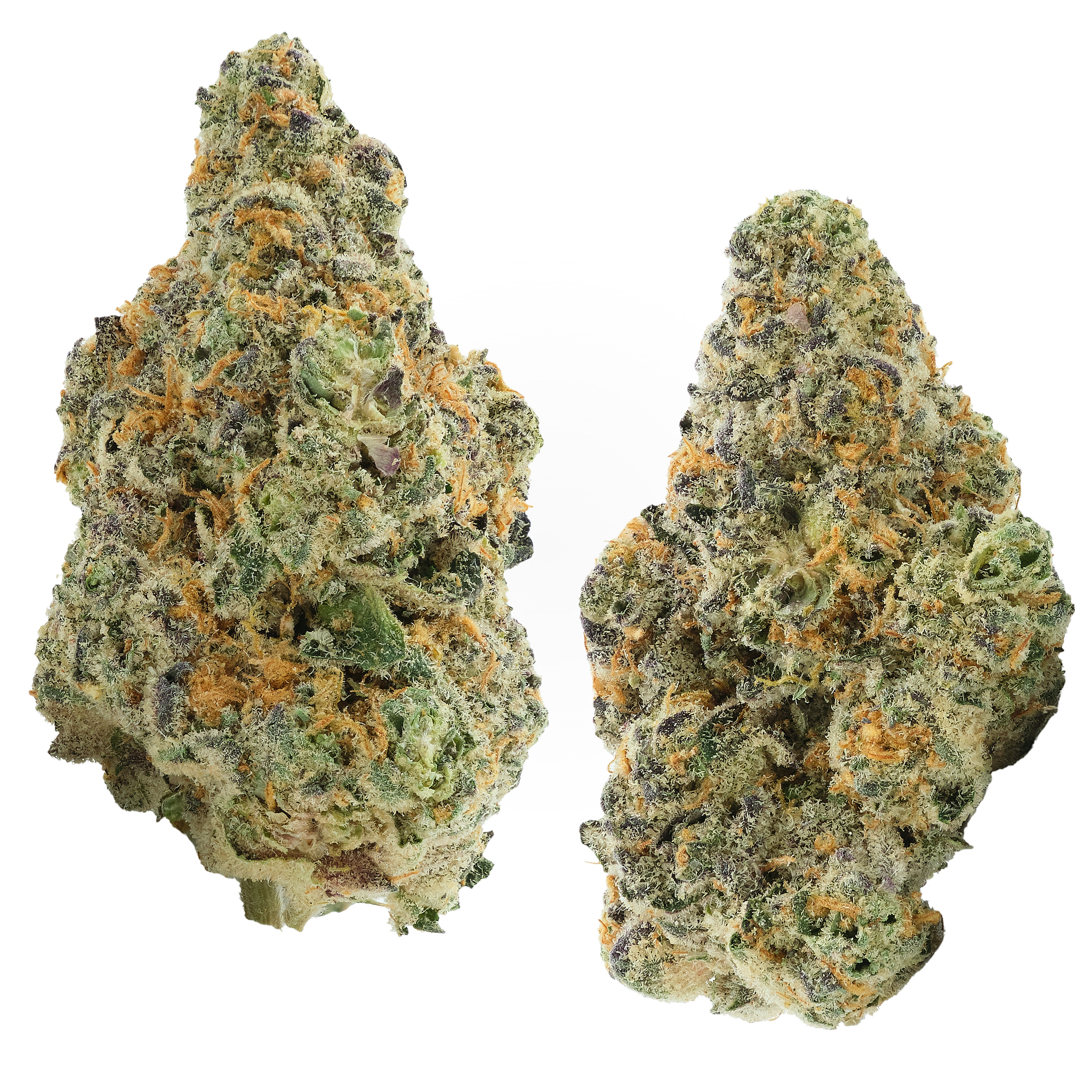 Photograph of product: Slurty3 - 7g