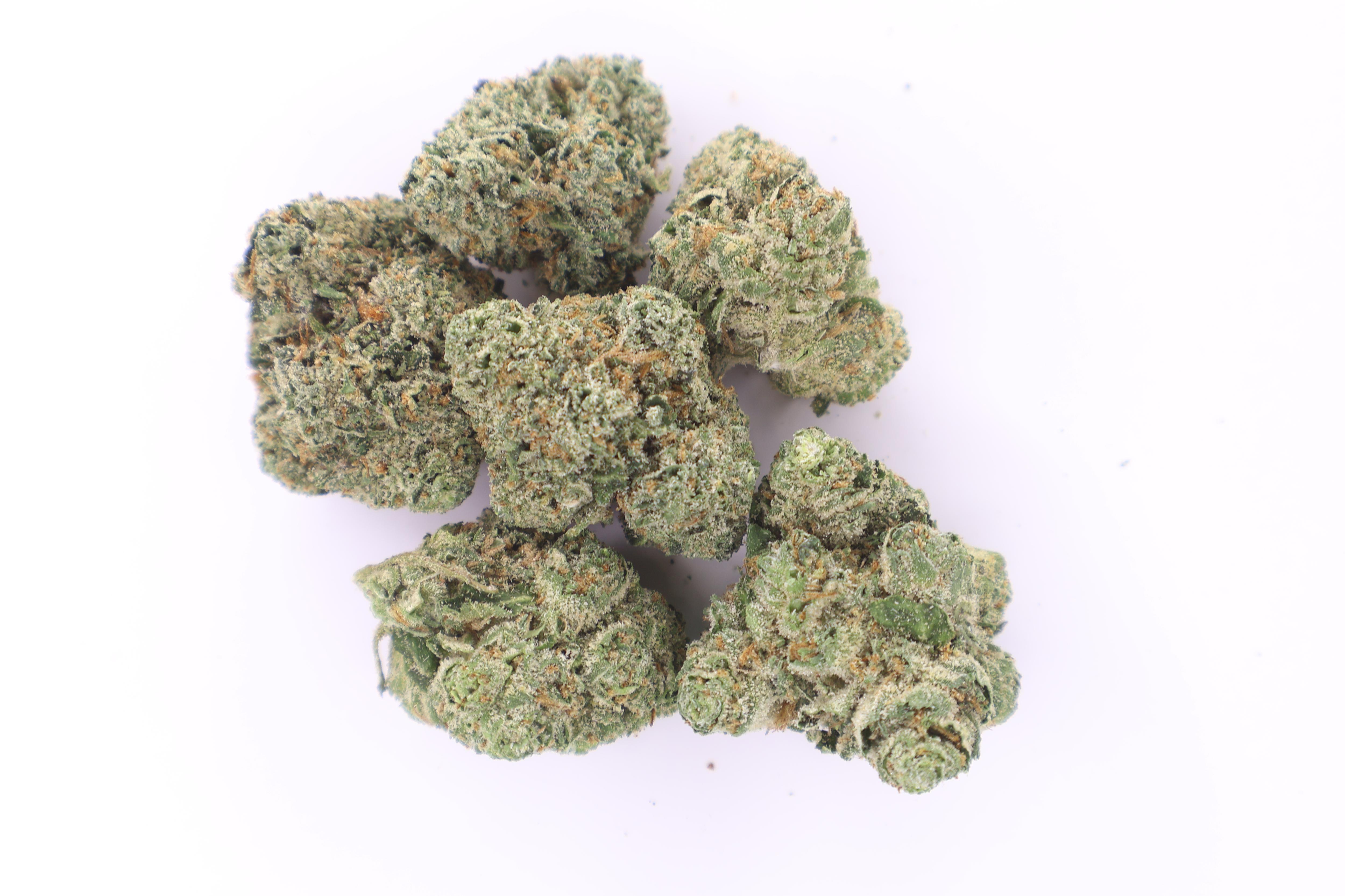 Photograph of product: Midzotics | Gushers x Runtz | Deli-Style Flower - 14g
