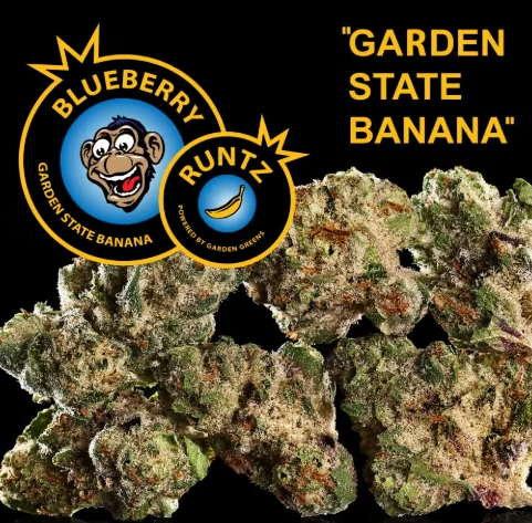 Photograph of product: Blueberry Runtz | Pre Roll | 1g