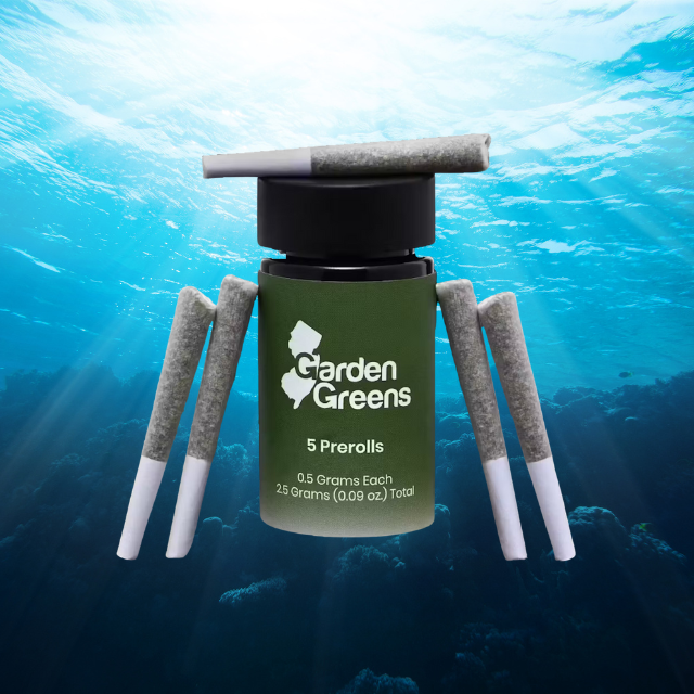 Photograph of product: PREROLL | YEMAYA Y | 5-PACK | 2.5G