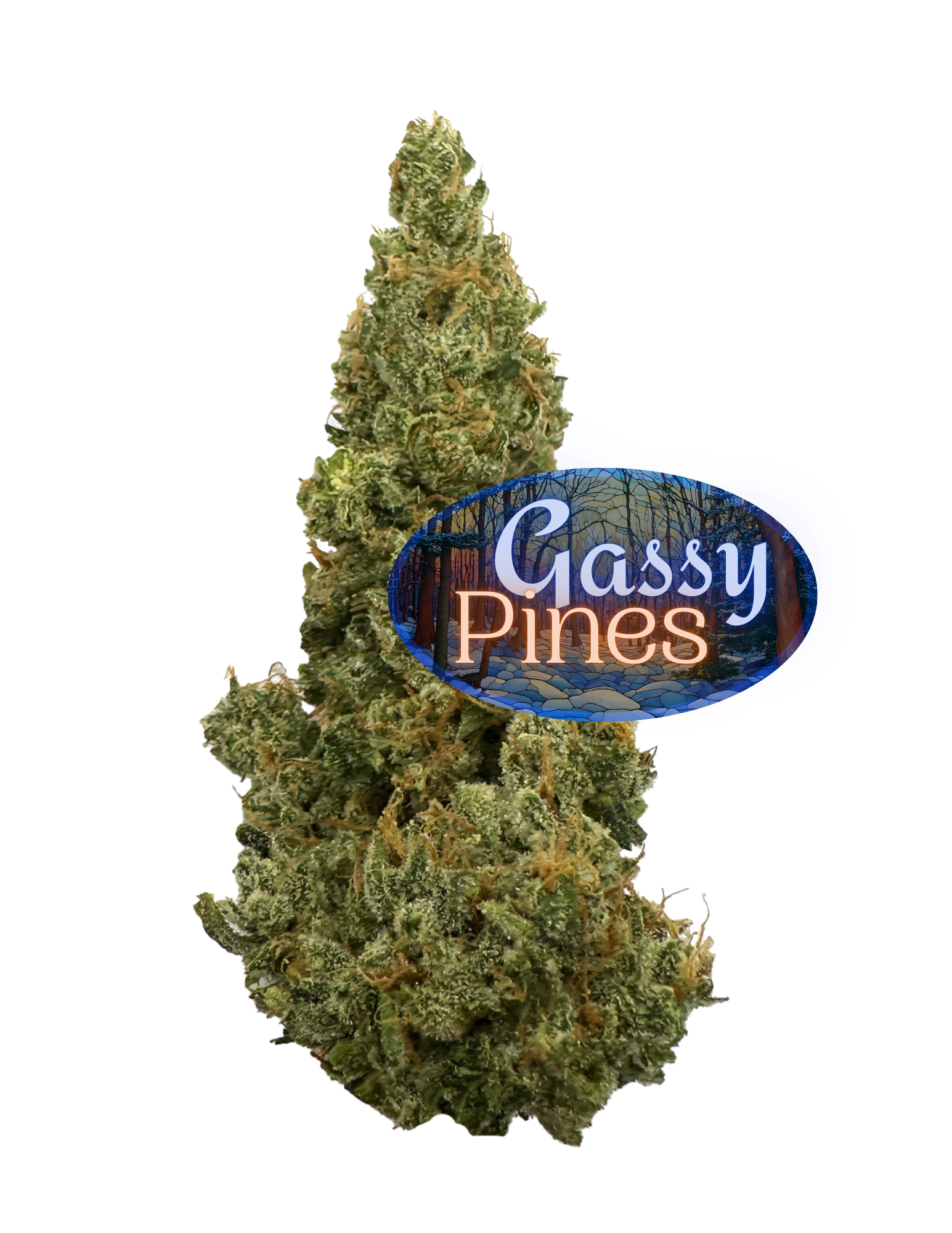 Photograph of product: MPX Select Gassy Pines Flower - 3.5g