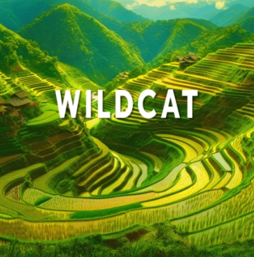 Photograph of product: Wild Cat | 2.83g