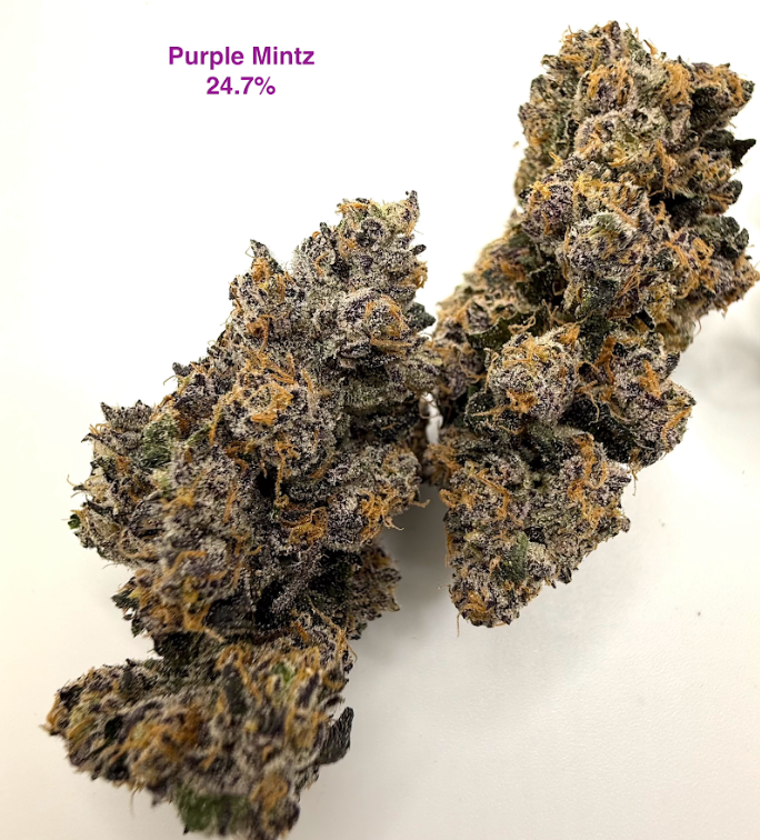Photograph of product: Purple Mintz - Bulk - 1g