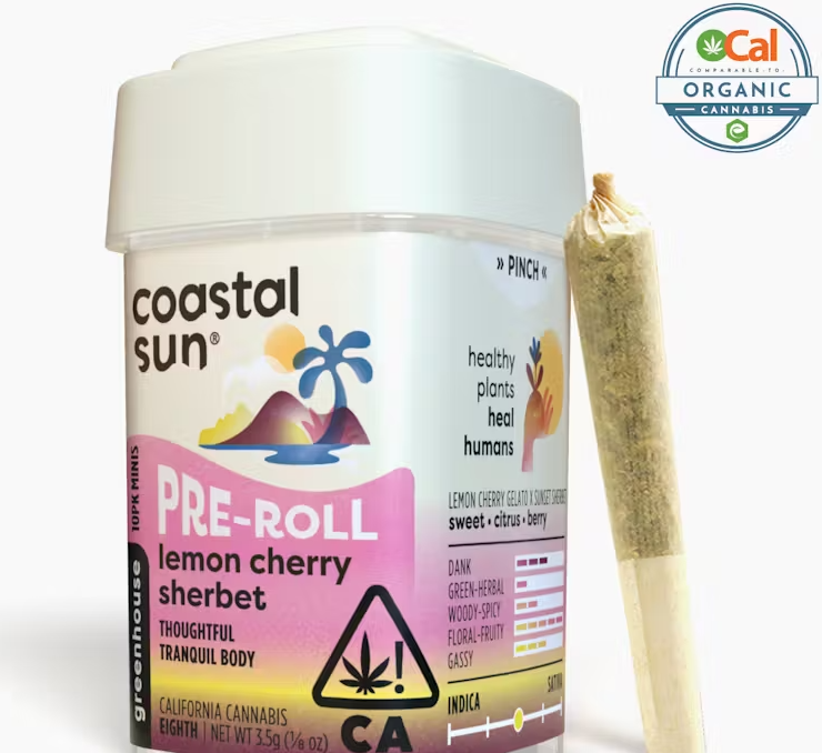 Photograph of product: Coastal Sun Lemon Cherry Sherbet Hybrid Greenhouse Preroll 10pk 3.5g