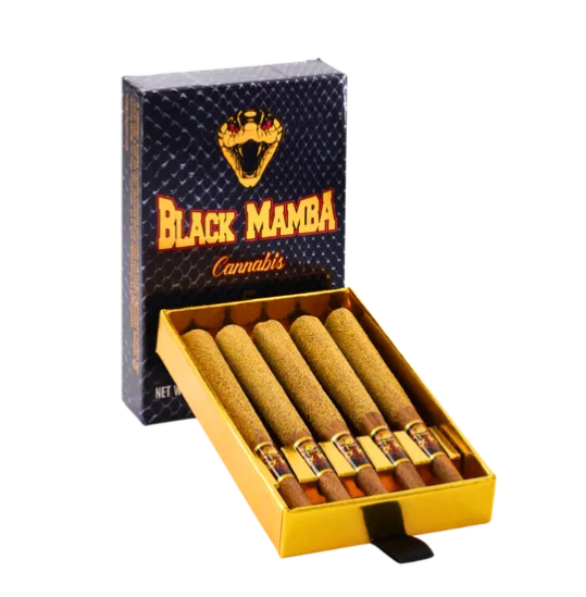 Photograph of product: 5PK - JACK HERER [S] (6G) INFUSED PREROLL