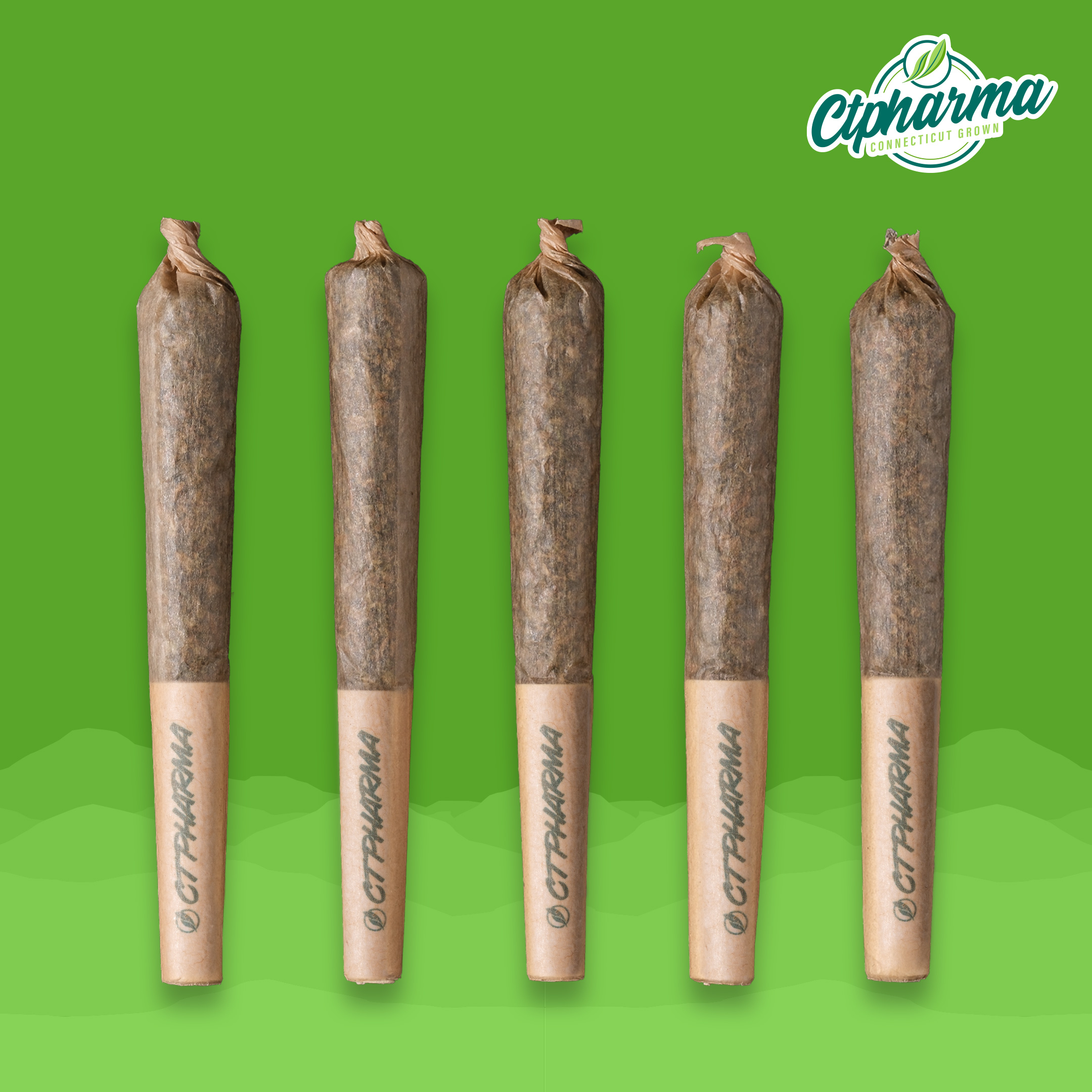 Photograph of Product: CTPHARMA | Modified Haze | (Minis) Preroll 5pk