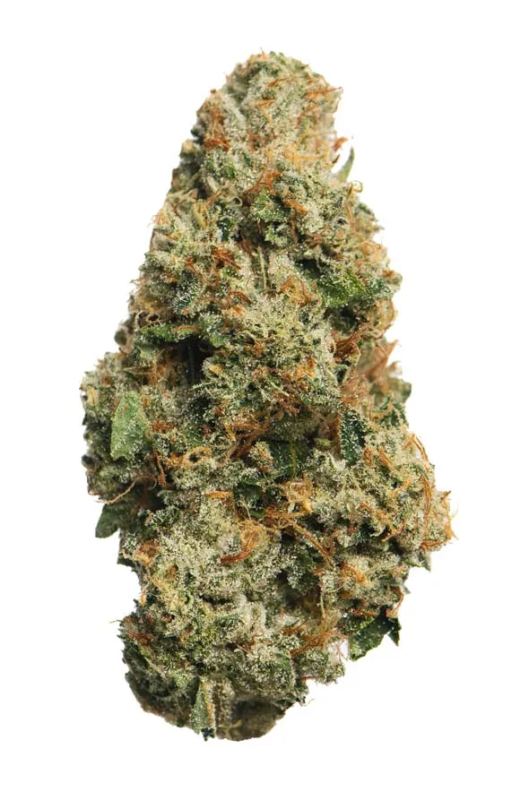 Photograph of product: Louis XIII - 14g