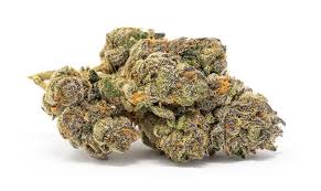 Photograph of product: Connoisseur Shelf - Alien Haze (S) - 28g