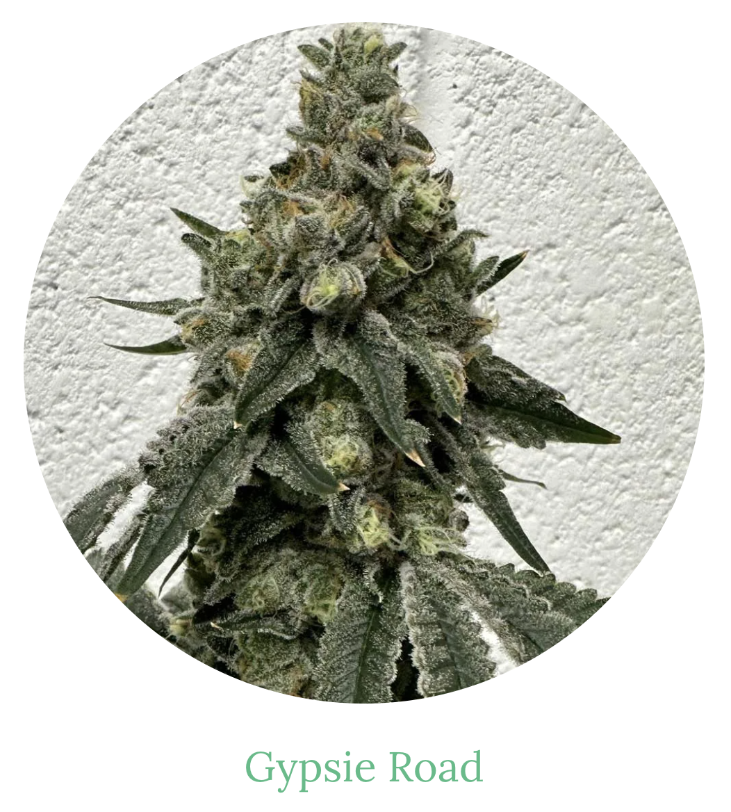 Photograph of product: 3.5g | Gypsie Road
